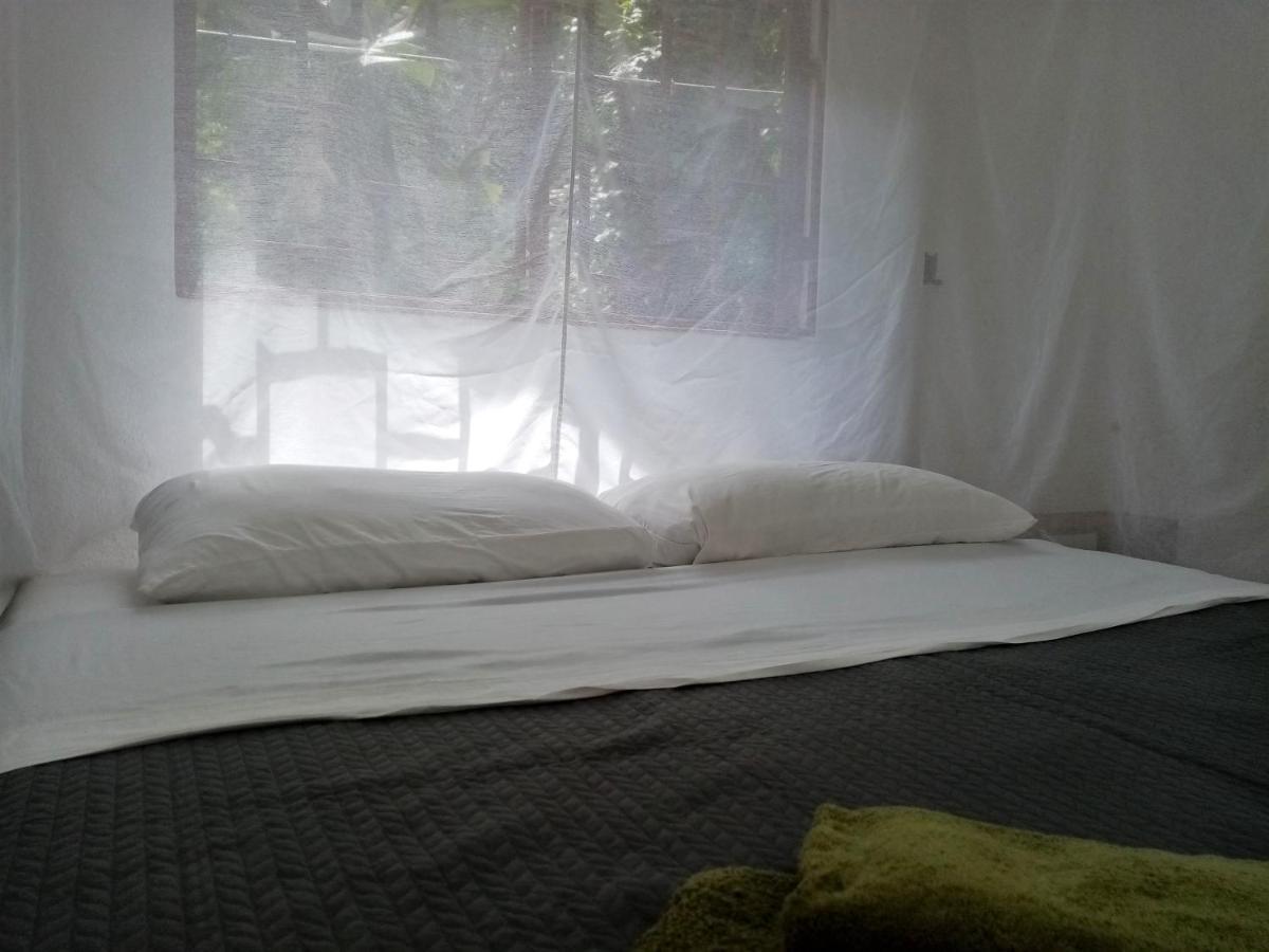 Bolita Trails And Lodging Dos Brazos Εξωτερικό φωτογραφία