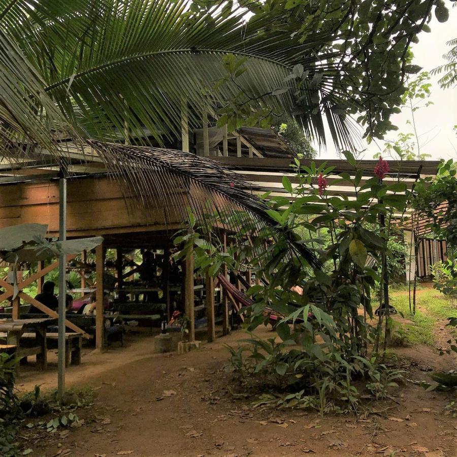 Bolita Trails And Lodging Dos Brazos Εξωτερικό φωτογραφία